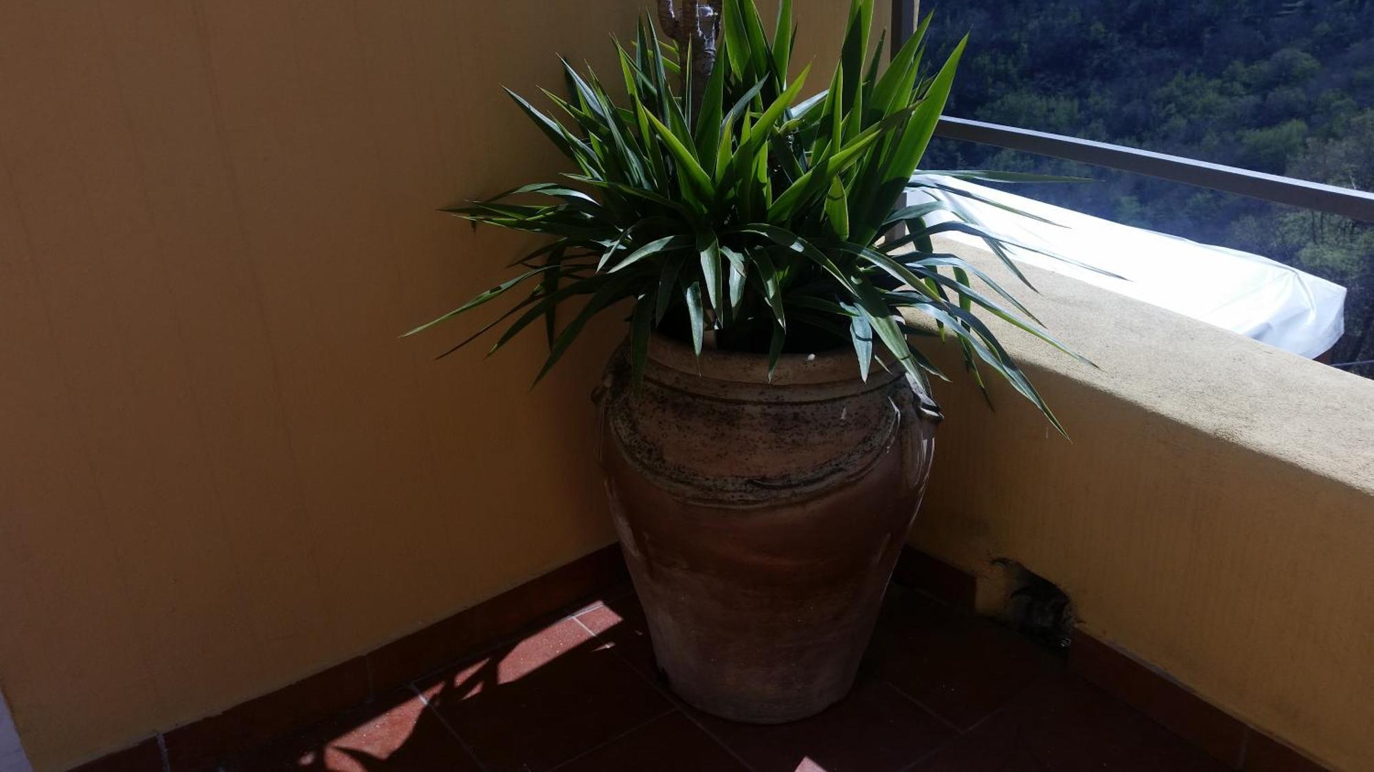 Sol Y Ombra Vila Voze Exterior foto